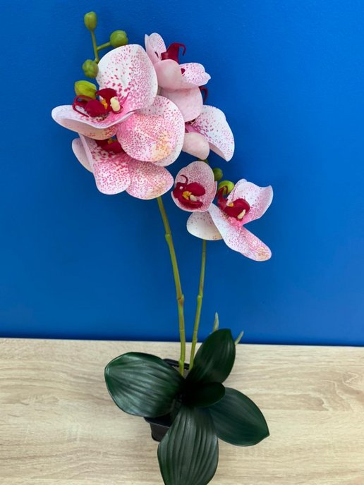 Yu yu flowers. Силиконовые орхидеи купить.