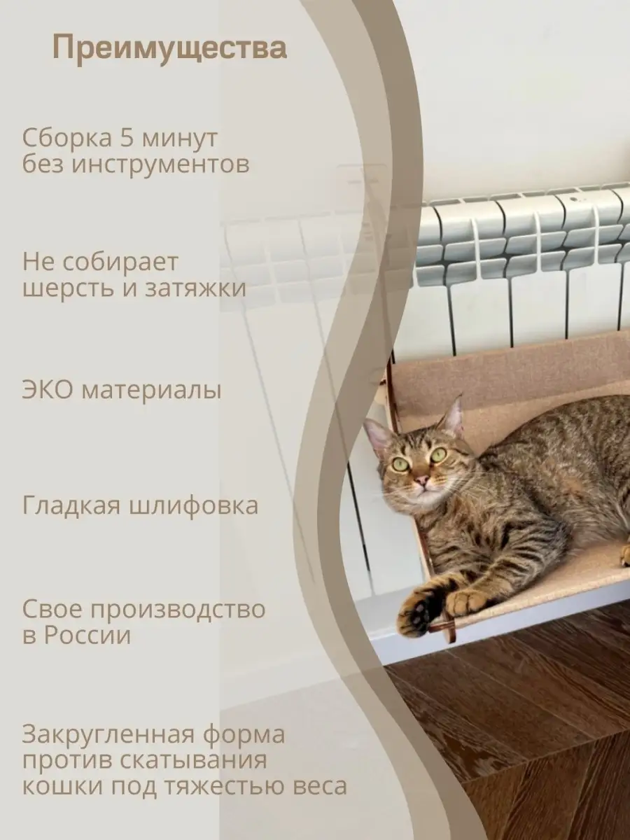 Подготовка дома к появлению абиссинского котенка