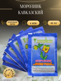 Морозник Кавказский