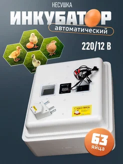 Инкубатор автоматический на 63 яйца 220 12 В