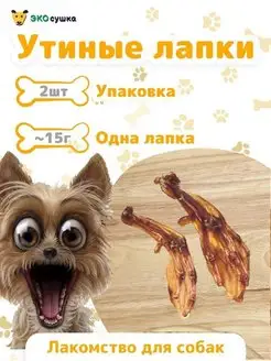 Лапки утиные, лапы утки, 2 шт