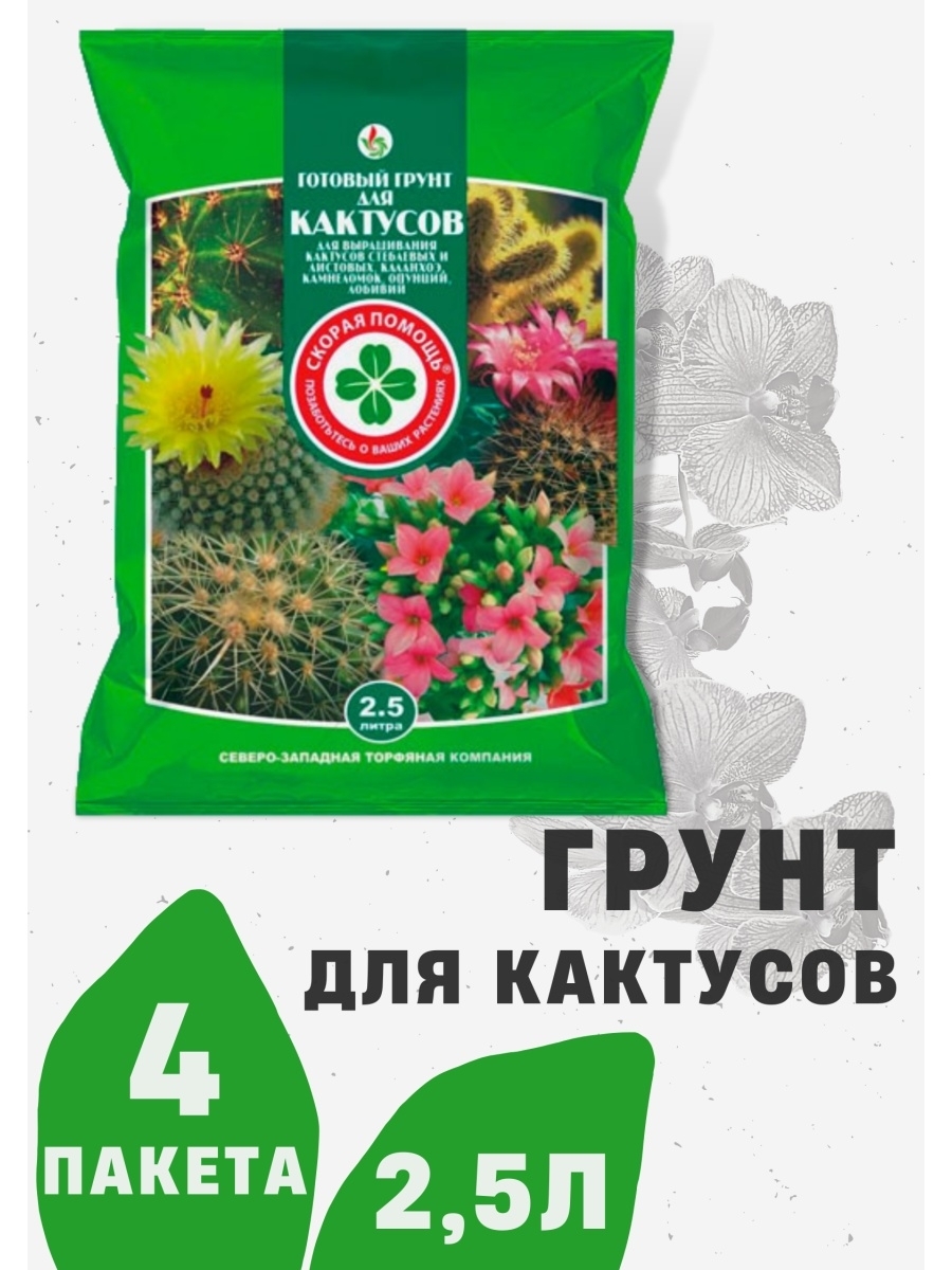 Грунт для кактусов