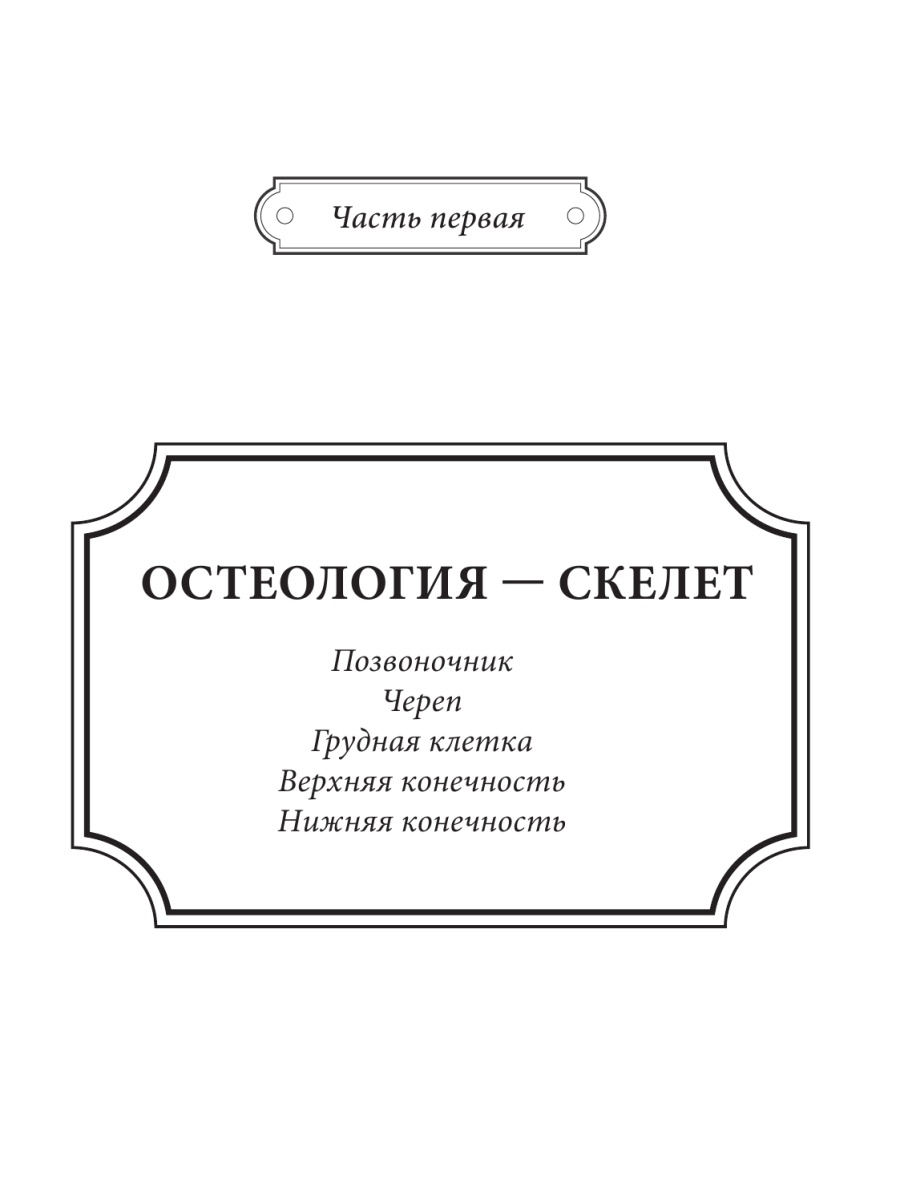 Анатомические составы. Анатомия Грея иллюстрации. Чужой анатомия и строение.