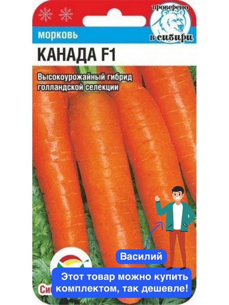 морковь канада описание