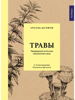 Травы Природный источник жизненной силы