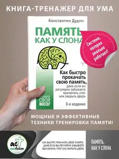 Память, как у слона. Как быстро прокачать свою память, даже